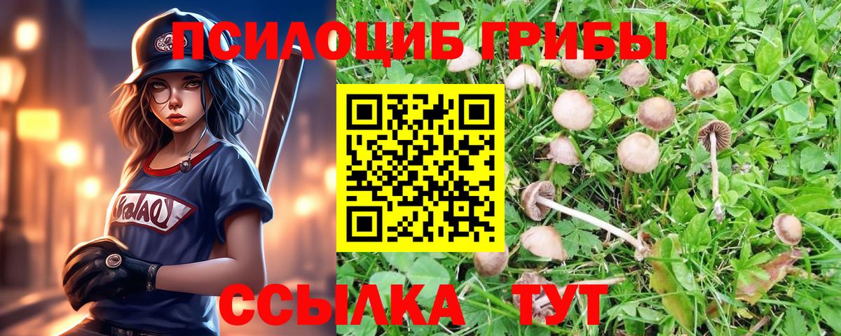 Саяногорск  Галлюциногенные грибы прущие грибы  Вход с VPN 